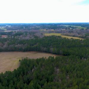Photo #6 of SOLD property in Off Chadbourn Hwy, Chadbourn, NC 44.3 acres