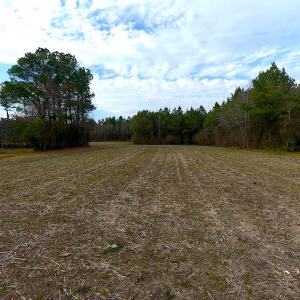 Photo #8 of SOLD property in Off Chadbourn Hwy, Chadbourn, NC 44.3 acres