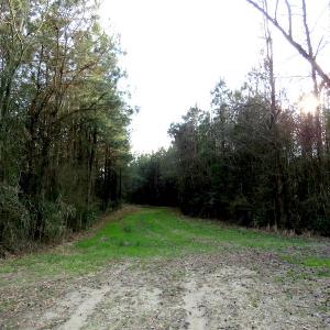 Photo #11 of SOLD property in Off Chadbourn Hwy, Chadbourn, NC 44.3 acres