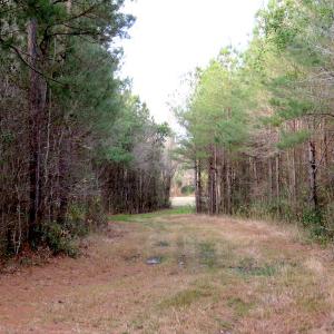 Photo #12 of SOLD property in Off Chadbourn Hwy, Chadbourn, NC 44.3 acres