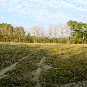 Photo #13 of SOLD property in Off Chadbourn Hwy, Chadbourn, NC 44.3 acres