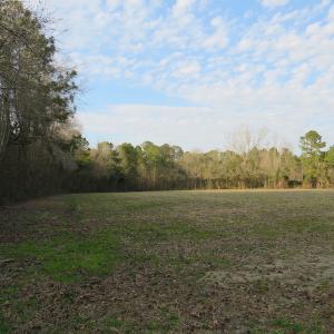 Photo #14 of SOLD property in Off Chadbourn Hwy, Chadbourn, NC 44.3 acres