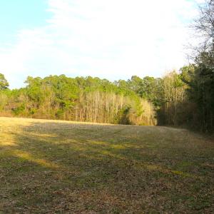 Photo #15 of SOLD property in Off Chadbourn Hwy, Chadbourn, NC 44.3 acres