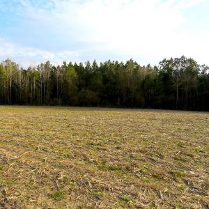 Photo #16 of SOLD property in Off Chadbourn Hwy, Chadbourn, NC 44.3 acres
