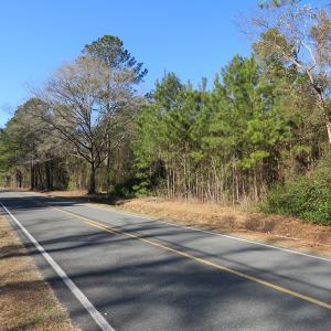 Photo #2 of SOLD property in 3431 AB Carter Road, Fayetteville, NC 61.0 acres