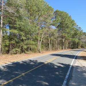 Photo #12 of SOLD property in 3431 AB Carter Road, Fayetteville, NC 61.0 acres