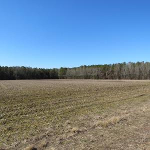 Photo #3 of SOLD property in 3431 AB Carter Road, Fayetteville, NC 61.0 acres