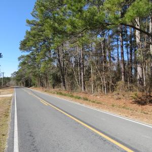 Photo #4 of SOLD property in 3431 AB Carter Road, Fayetteville, NC 61.0 acres