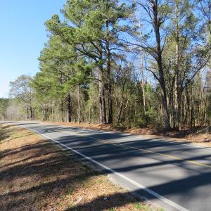 Photo #6 of SOLD property in 3431 AB Carter Road, Fayetteville, NC 61.0 acres