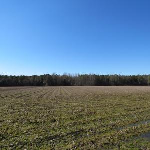 Photo #7 of SOLD property in 3431 AB Carter Road, Fayetteville, NC 61.0 acres