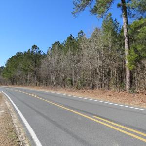 Photo #8 of SOLD property in 3431 AB Carter Road, Fayetteville, NC 61.0 acres