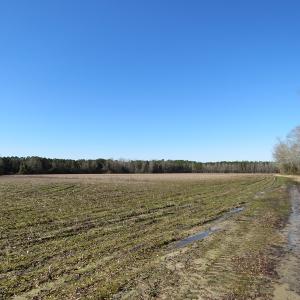 Photo #10 of SOLD property in 3431 AB Carter Road, Fayetteville, NC 61.0 acres