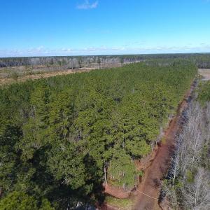 Photo #11 of SOLD property in Goins Road, Chadbourn, NC 19.8 acres