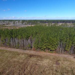 Photo #6 of SOLD property in Goins Road, Chadbourn, NC 19.8 acres