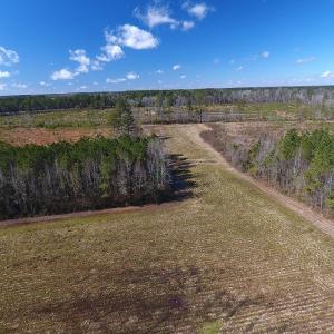 Photo #10 of SOLD property in Goins Road, Chadbourn, NC 19.8 acres