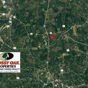 Photo #2 of SOLD property in Off SC 34 - Mt. Hope Road, Ridgeway, SC 105.0 acres
