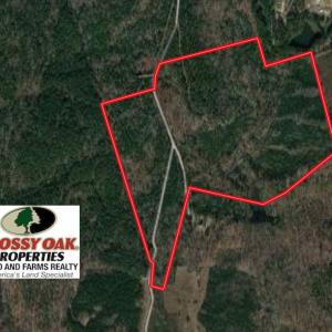 Photo #1 of SOLD property in Off SC 34 - Mt. Hope Road, Ridgeway, SC 105.0 acres