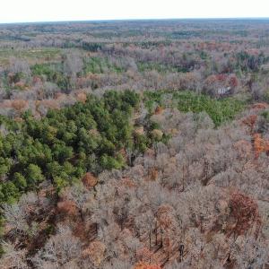 Photo #3 of SOLD property in Off SC 34 - Mt. Hope Road, Ridgeway, SC 105.0 acres