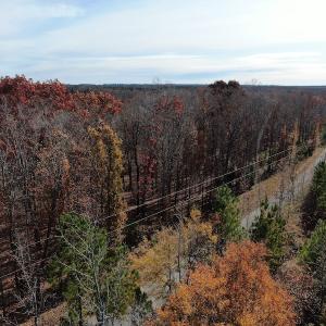 Photo #5 of SOLD property in Off SC 34 - Mt. Hope Road, Ridgeway, SC 105.0 acres