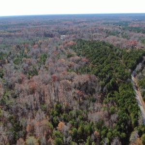 Photo #7 of SOLD property in Off SC 34 - Mt. Hope Road, Ridgeway, SC 105.0 acres
