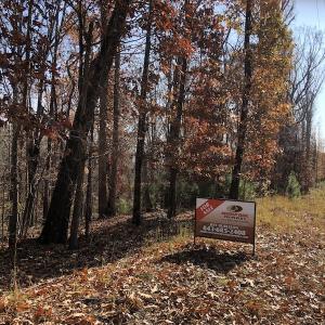 Photo #8 of SOLD property in Off SC 34 - Mt. Hope Road, Ridgeway, SC 105.0 acres