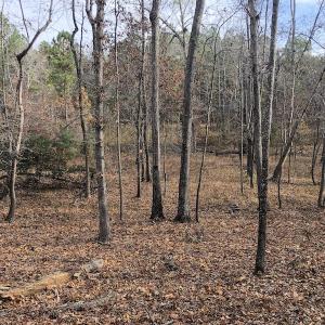 Photo #11 of SOLD property in Off SC 34 - Mt. Hope Road, Ridgeway, SC 105.0 acres