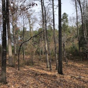 Photo #13 of SOLD property in Off SC 34 - Mt. Hope Road, Ridgeway, SC 105.0 acres
