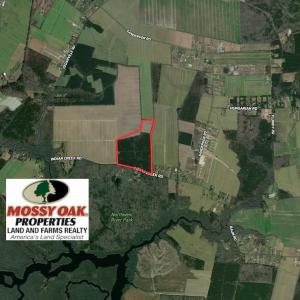 Photo #2 of SOLD property in Off Indian Creek Rd, Chesapeake, VA 105.7 acres