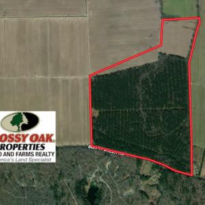 Photo #1 of SOLD property in Off Indian Creek Rd, Chesapeake, VA 105.7 acres