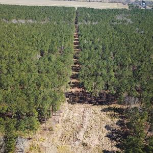 Photo #5 of SOLD property in Off Indian Creek Rd, Chesapeake, VA 105.7 acres