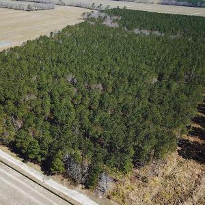 Photo #6 of SOLD property in Off Indian Creek Rd, Chesapeake, VA 105.7 acres