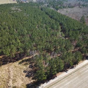 Photo #7 of SOLD property in Off Indian Creek Rd, Chesapeake, VA 105.7 acres