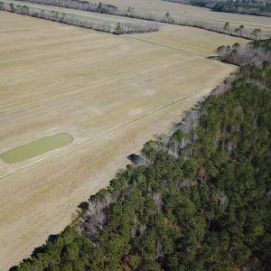 Photo #8 of SOLD property in Off Indian Creek Rd, Chesapeake, VA 105.7 acres