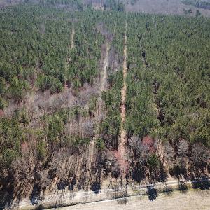 Photo #10 of SOLD property in Off Indian Creek Rd, Chesapeake, VA 105.7 acres