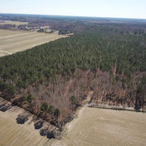 Photo #11 of SOLD property in Off Indian Creek Rd, Chesapeake, VA 105.7 acres