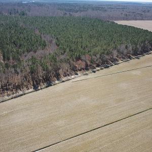 Photo #12 of SOLD property in Off Indian Creek Rd, Chesapeake, VA 105.7 acres