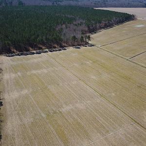 Photo #13 of SOLD property in Off Indian Creek Rd, Chesapeake, VA 105.7 acres