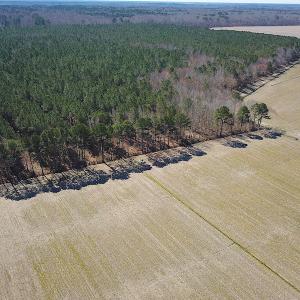 Photo #14 of SOLD property in Off Indian Creek Rd, Chesapeake, VA 105.7 acres