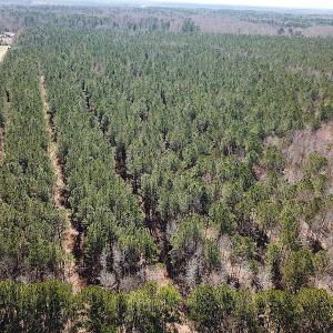Photo #15 of SOLD property in Off Indian Creek Rd, Chesapeake, VA 105.7 acres