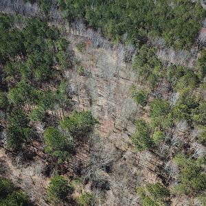 Photo #17 of SOLD property in Off Indian Creek Rd, Chesapeake, VA 105.7 acres