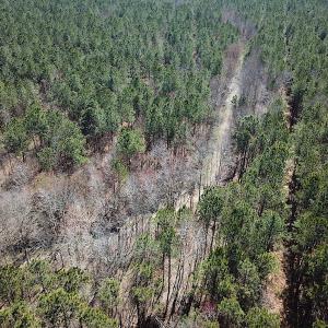 Photo #18 of SOLD property in Off Indian Creek Rd, Chesapeake, VA 105.7 acres
