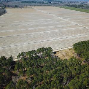 Photo #21 of SOLD property in Off Indian Creek Rd, Chesapeake, VA 105.7 acres