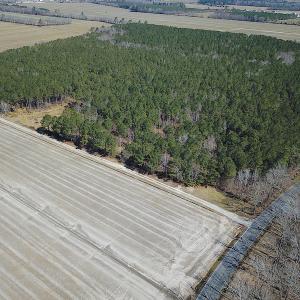 Photo #23 of SOLD property in Off Indian Creek Rd, Chesapeake, VA 105.7 acres