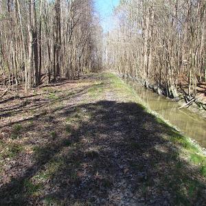 Photo #30 of SOLD property in Off Indian Creek Rd, Chesapeake, VA 105.7 acres