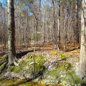 Photo #38 of SOLD property in Off Indian Creek Rd, Chesapeake, VA 105.7 acres