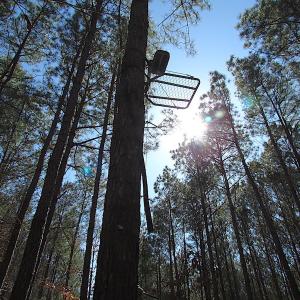 Photo #43 of SOLD property in Off Indian Creek Rd, Chesapeake, VA 105.7 acres