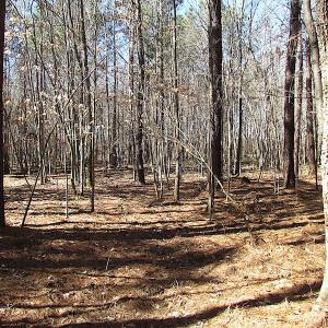 Photo #46 of SOLD property in Off Indian Creek Rd, Chesapeake, VA 105.7 acres