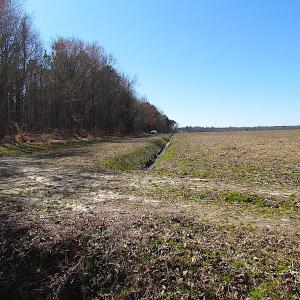 Photo #48 of SOLD property in Off Indian Creek Rd, Chesapeake, VA 105.7 acres