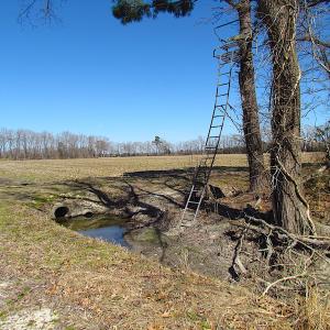 Photo #49 of SOLD property in Off Indian Creek Rd, Chesapeake, VA 105.7 acres