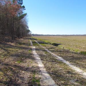 Photo #51 of SOLD property in Off Indian Creek Rd, Chesapeake, VA 105.7 acres